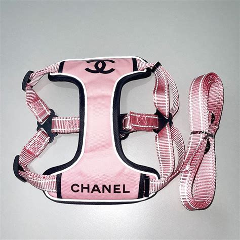 coco chanel dog clothes|chanel dog leash.